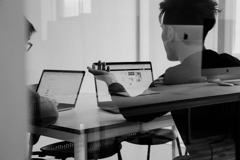 Tax Consulting — Pene's Business Services